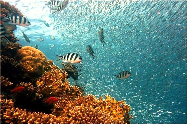 夢到了房間裡有三個墓是啥預兆_周公解夢官網