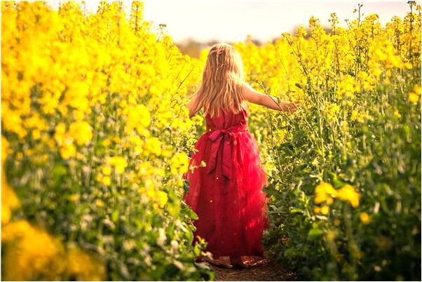 夢到老班子成員預兆了什麼嗎_周公解夢官網