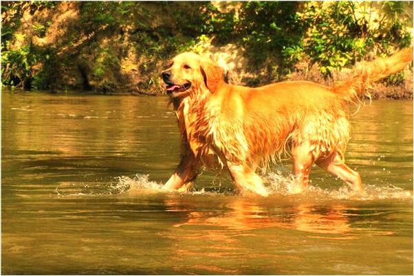 夢到了活著的朋友死了有什麼說法_周公解夢官網