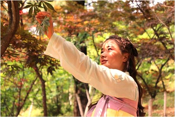 夢到了給老婆摘杏吃啥意思_周公解夢官網