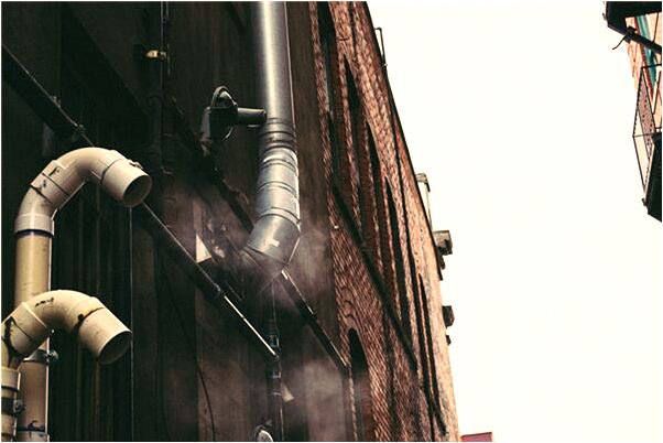 夢到爸爸腳被樹枝戳傷流血會是什麼預兆_周公解夢官網