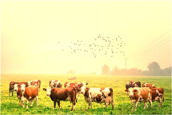 夢到了前男友找我什麼寓意_周公解夢官網