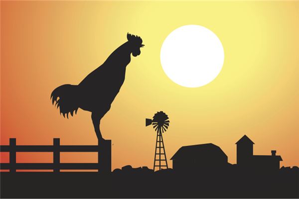 屬雞男最想睡的女人_十二生肖