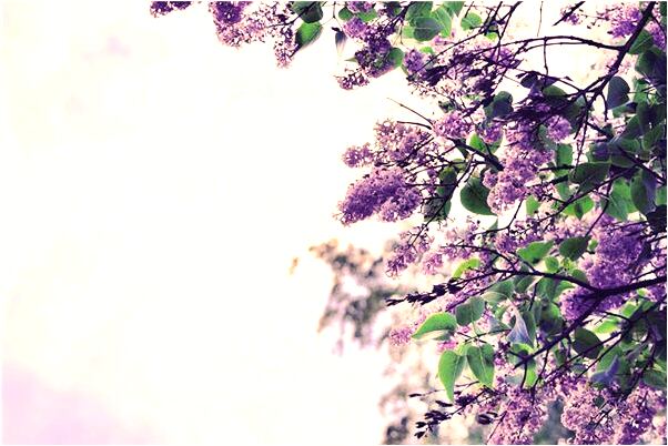 夢見女人幫我吸陰莖是什麼徵兆_周公解夢官網