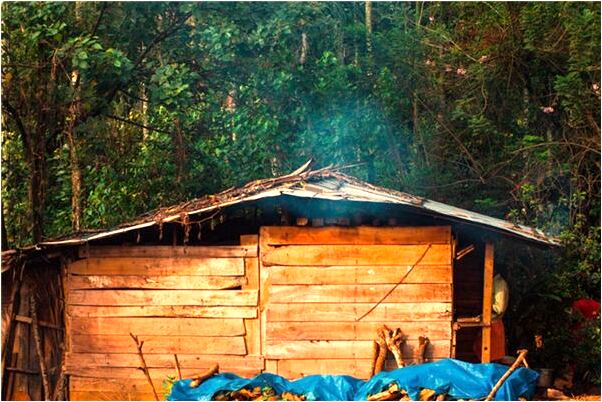 夢見一院子蛇蛋和一條小蛇預示了什麼_周公解夢官網