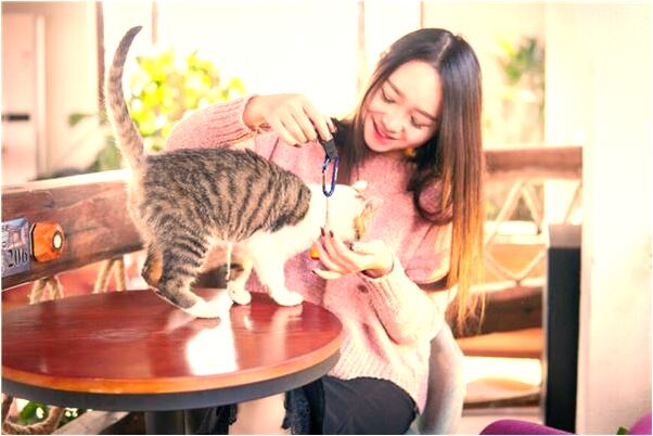 夢到火越燃越大會是什麼預兆_周公解夢官網