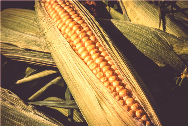 夢到自己的車輪胎壞了是怎么回事_周公解夢官網