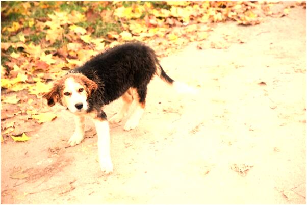 夢見一個許久未都男人是好的徵兆嗎_周公解夢官網