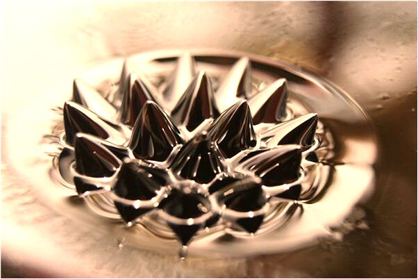 夢到收穫靈芝有什麼意思_周公解夢官網