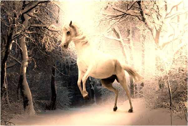 夢到了情書怎么寫是咋回事_周公解夢官網