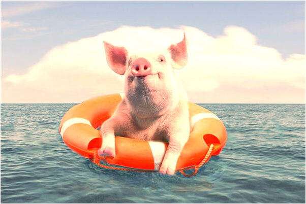 夢見有人在河流里吃大魚什麼寓意_周公解夢官網