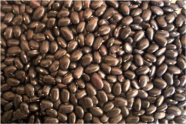 夢到了爸爸死了有活過來是什麼徵兆_周公解夢官網