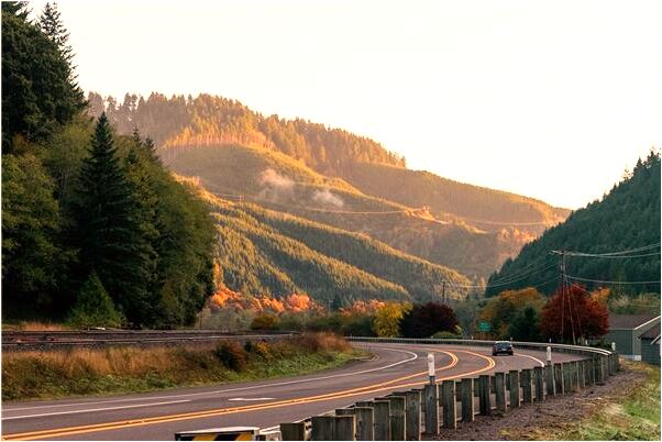 夢見腳踏車不見預示著什麼_周公解夢官網