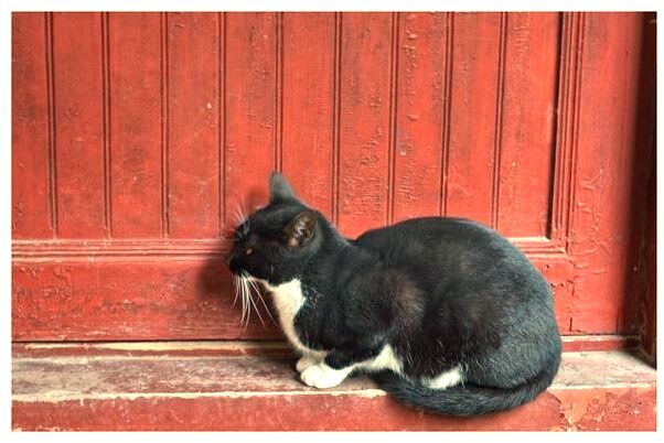 夢見胳膊上起大包是什麼徵兆_周公解夢官網