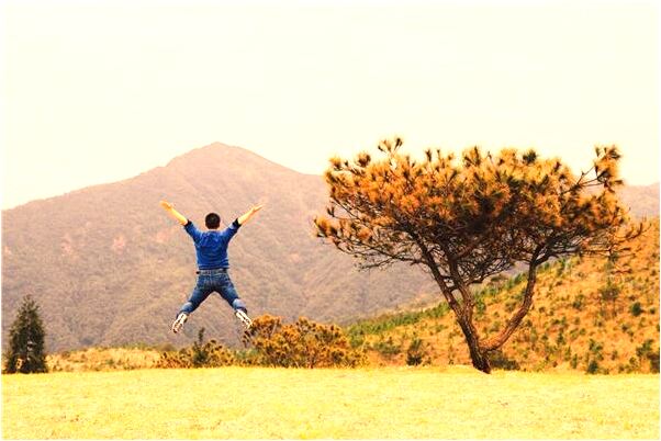 夢見用刀砍開洞穴的頂蓋是什麼徵兆_周公解夢官網