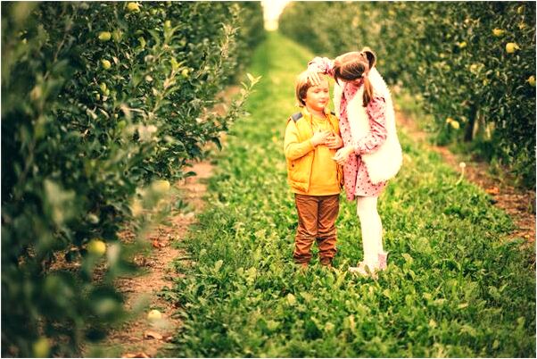 夢到撿好多小刀是凶兆還是吉兆_周公解夢官網