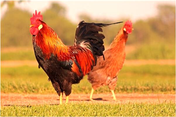 夢到山塌了堰塘垮了水沖毀房屋是好事還是壞事_周公解夢官網