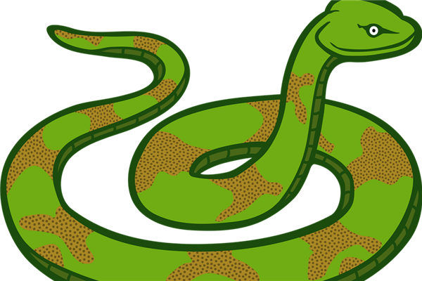 夢到了孕婦蛇纏身是咋回事_周公解夢