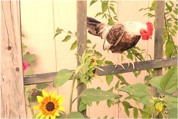 夢到親人修大馬路有什麼預示嗎_周公解夢官網