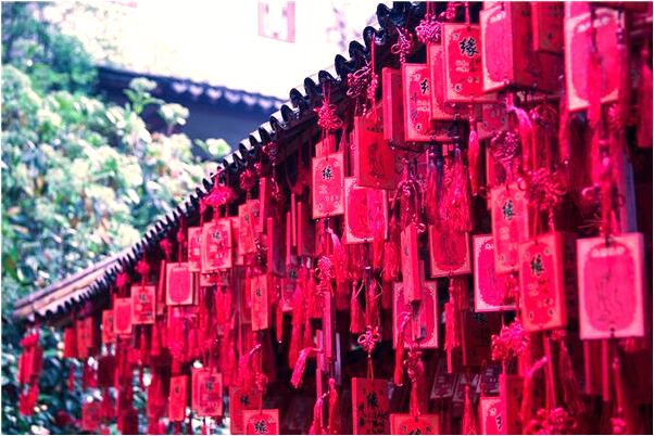 夢見一堆排骨是凶兆還是吉兆_周公解夢官網