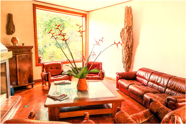 夢到了變成鱷魚是好是壞_周公解夢官網