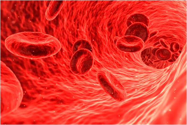 夢到打騙子有什麼含義_周公解夢官網