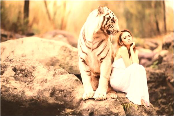 夢見龍出海有什麼預兆_周公解夢官網