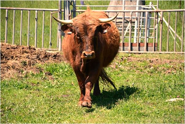 夢到前妻上班有什麼預示嗎_周公解夢官網