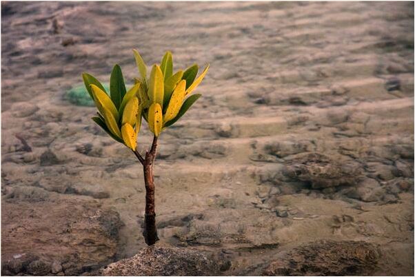 夢見把人打的滿臉是血就要死了意味著什麼_周公解夢官網
