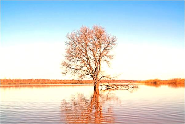 夢見我和老公爸爸關係不好是什麼意思_周公解夢官網