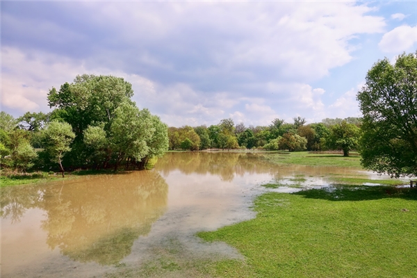 夢到洪水上岸意味著什麼_周公解夢