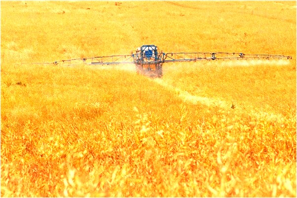 夢到和女同學在學校做愛的預兆_周公解夢官網