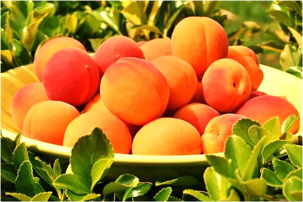 夢到了與愛人一起撞車有什麼預兆_周公解夢官網