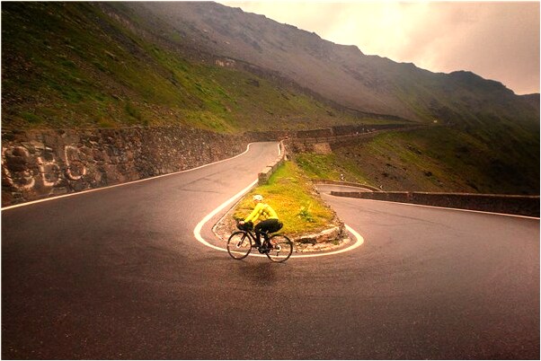 夢見蜥蜴勸我不要進那房子怎么回事_周公解夢官網