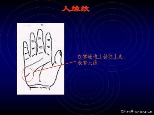 Palm fortune-telling various pattern recognition and the diagram of 4