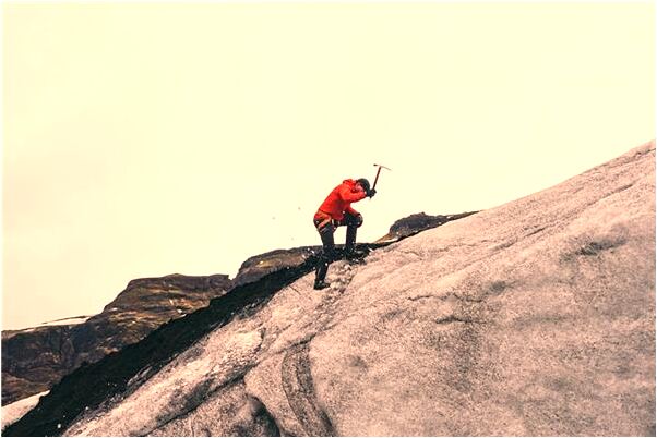 夢見貓對著我笑是什麼意思？_周公解夢官網