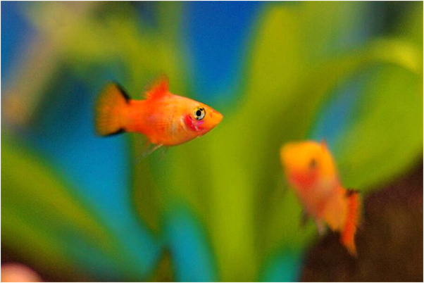 夢到已故父親要錢是什麼預兆？_周公解夢官網