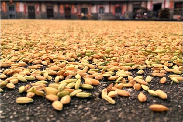 夢到夢有很多錢有什麼寓意嗎_周公解夢官網