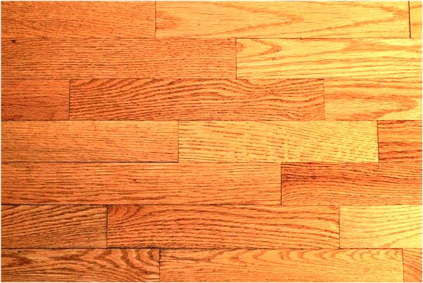 夢到前夫回家來是不是好的徵兆呢_周公解夢官網