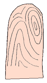 O kay emperor palms fortune-telling diagram of 07 _ to visit fortune-teller accomplishment