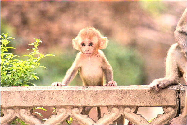 夢到穿警服人抱著我跳下去是凶兆還是吉兆_周公解夢官網