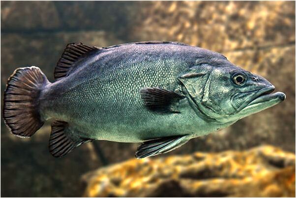 夢見所住房屋頂漏水有什麼徵兆_周公解夢官網