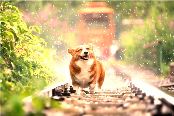 夢見在外面玩不回來是好的徵兆嗎_周公解夢官網