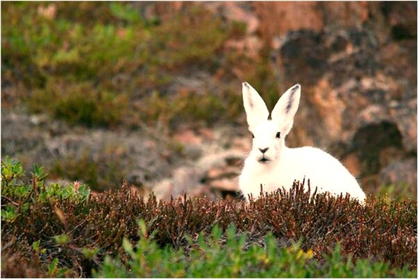 夢到一群美少女調戲我的預兆_周公解夢官網