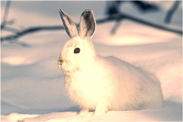 夢到了趕不上最後一班車有什麼徵兆_周公解夢官網