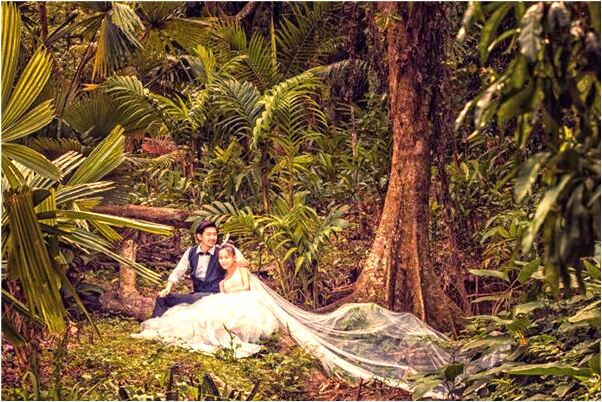 夢到了淡藍色粉紅色跑車有何寓意_周公解夢官網