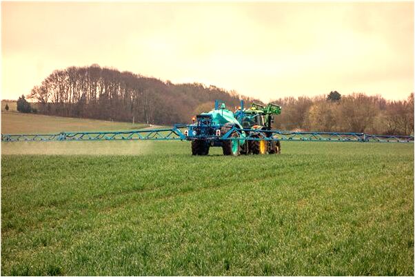 夢到了到小孩哭是不是好的徵兆呢_周公解夢官網