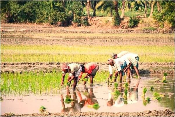 夢見詐屍被屍體抓住有什麼意義嗎_周公解夢官網