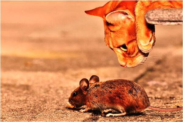 夢到身上起了一身疙瘩有什麼寓意嗎？_周公解夢官網