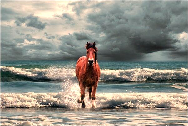 夢到了玉戒指碎了會是什麼預兆_周公解夢官網